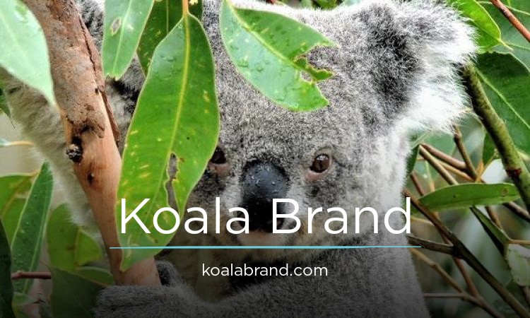 KoalaBrand logo